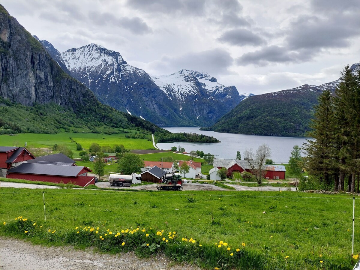 位于Eresfjord的小木屋