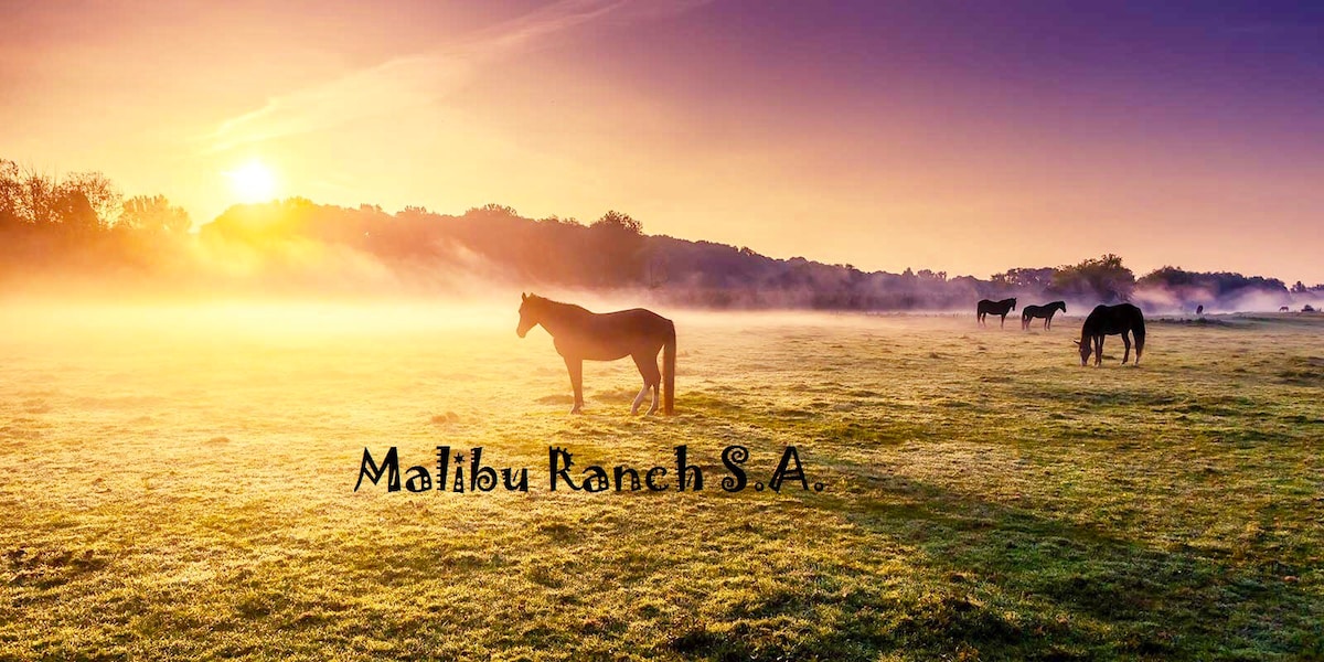 马里布牧场（ Malibu Ranch SA ）