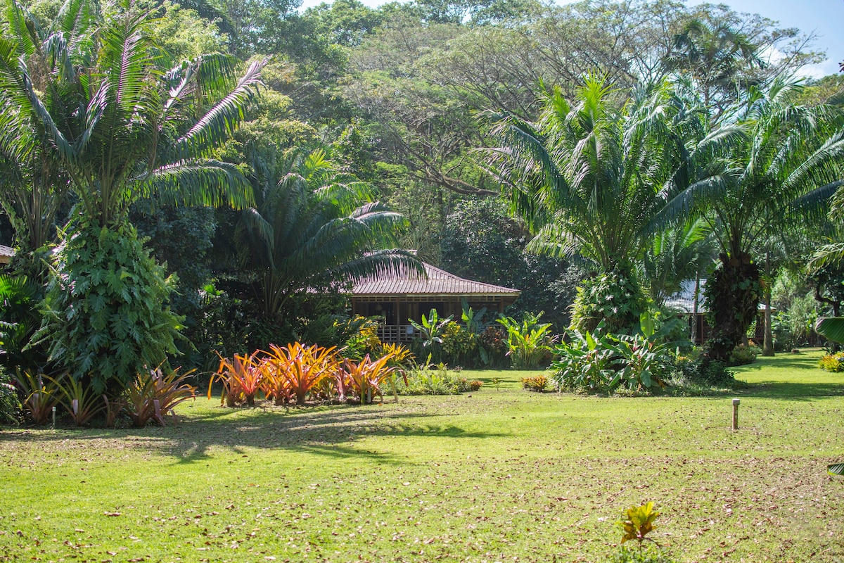 Casa Viva beachfront Bungalow 1