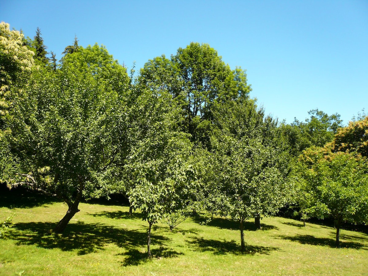 LE GITE DE VINELLE  calme absolu en pleine nature