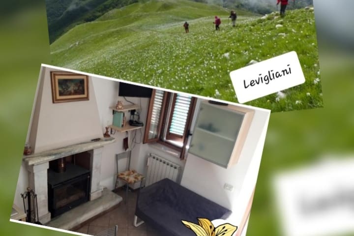Levigliani的民宿
