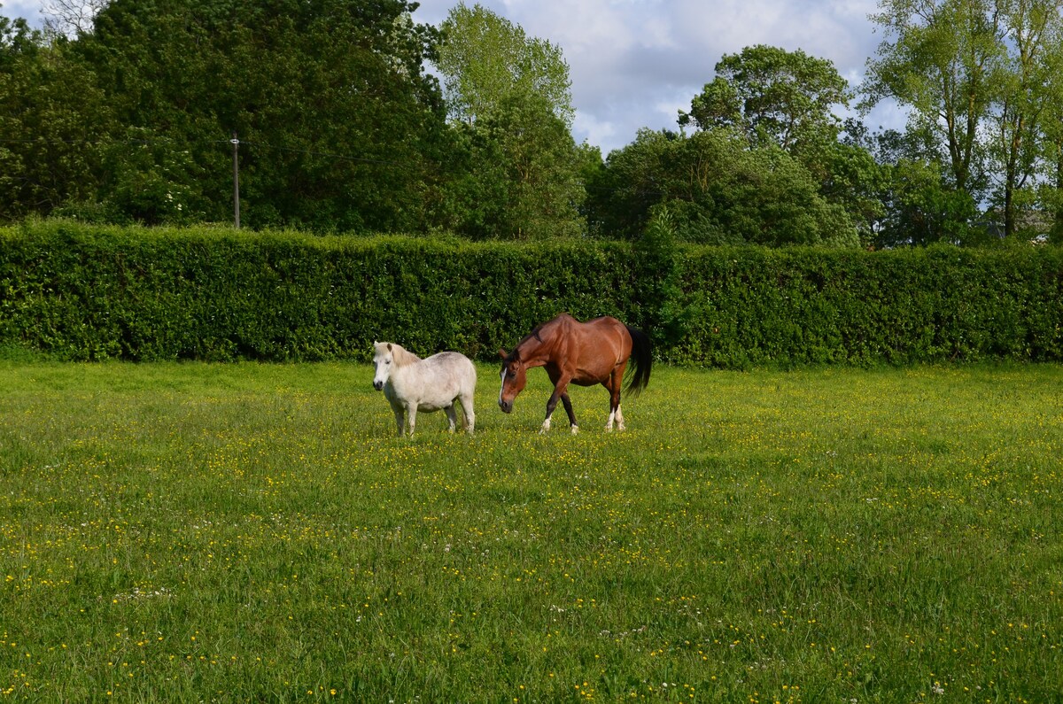 La Garenne Saint Germain - "The Stable"