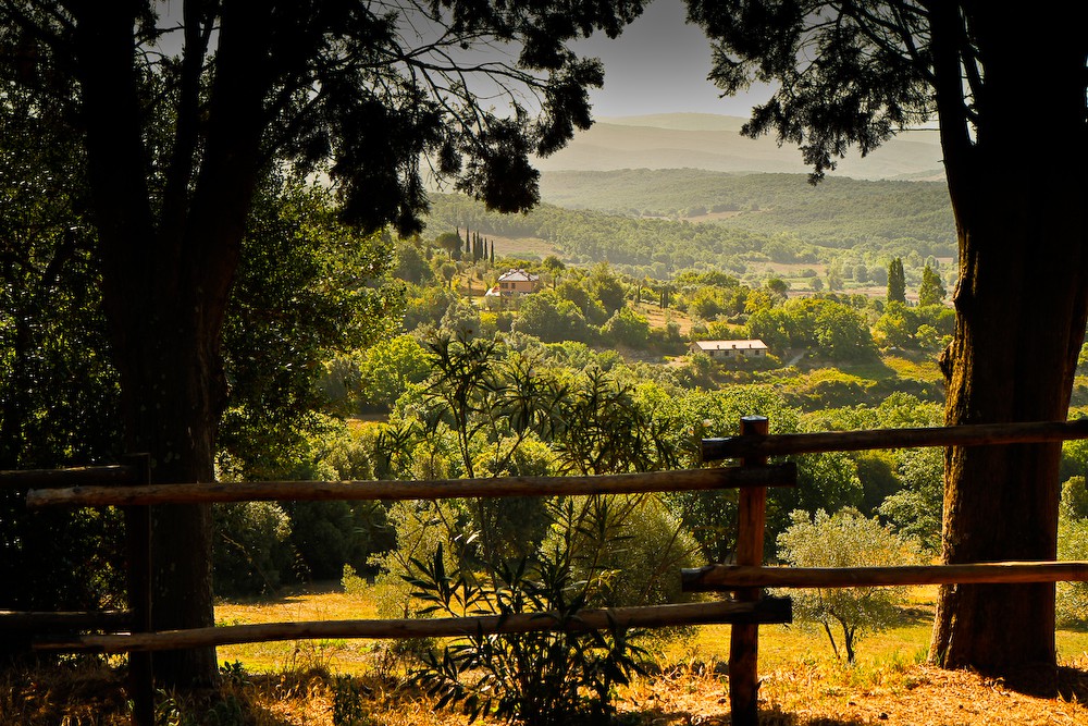 Alex-Tuscany Charme公寓