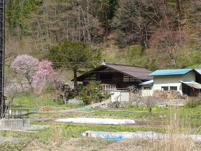 上伊那郡辰野町的民宿