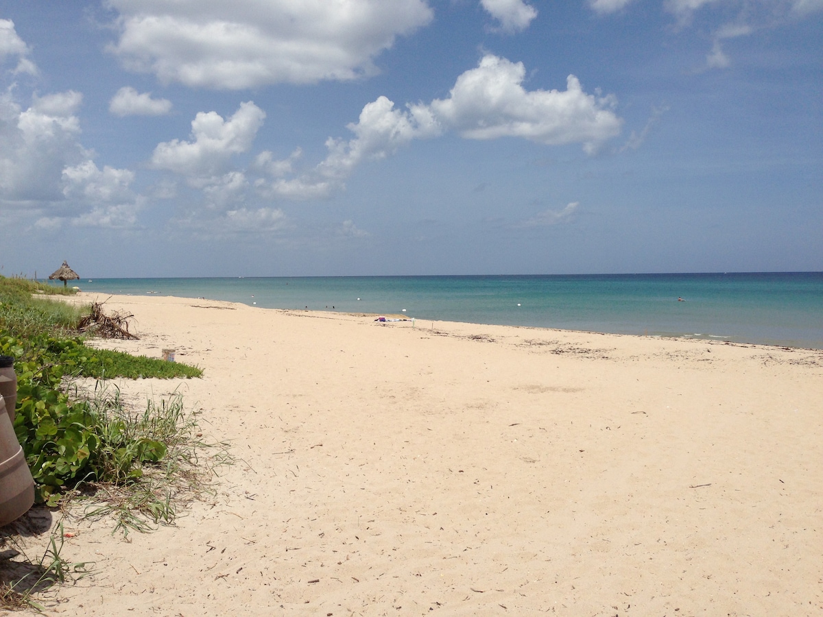 Bob 's Beach House小屋步行即可抵达海滩