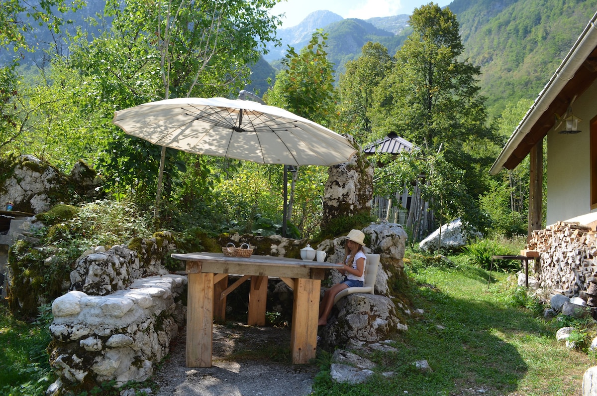 House in pure nature