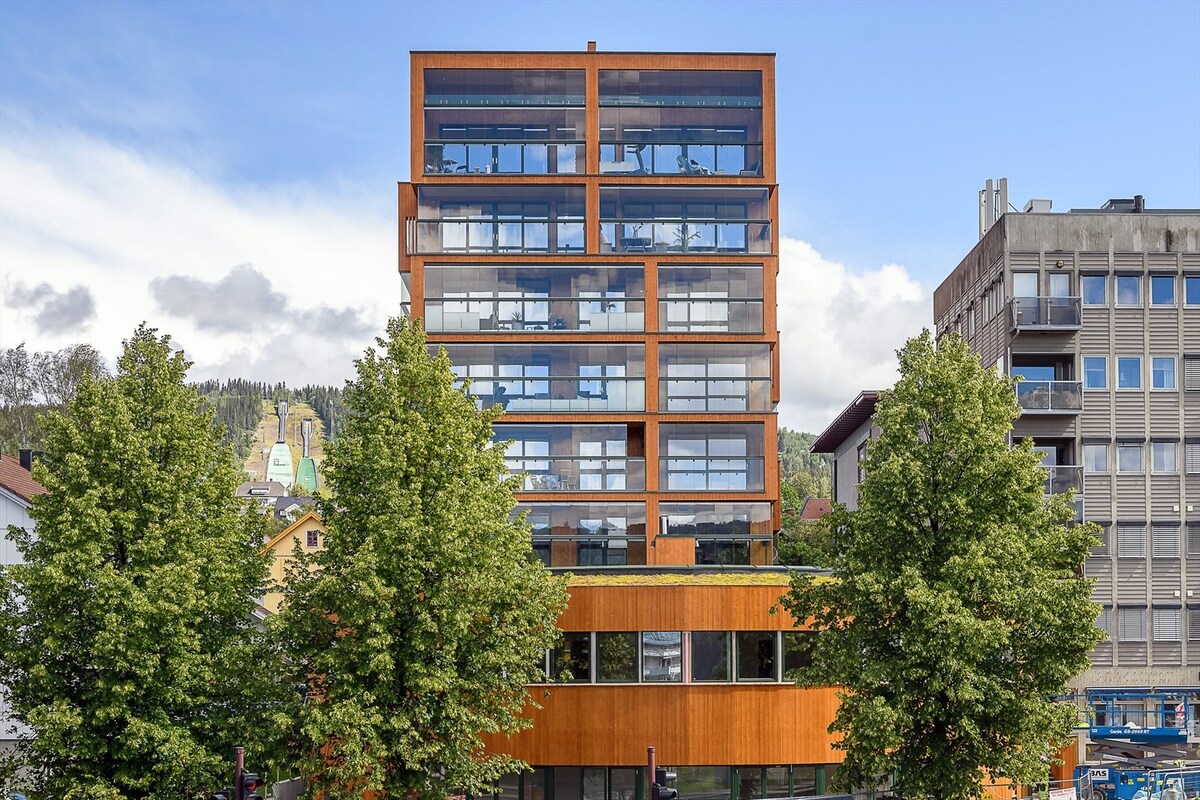 欢迎来到Lillehammers最现代化的建筑！