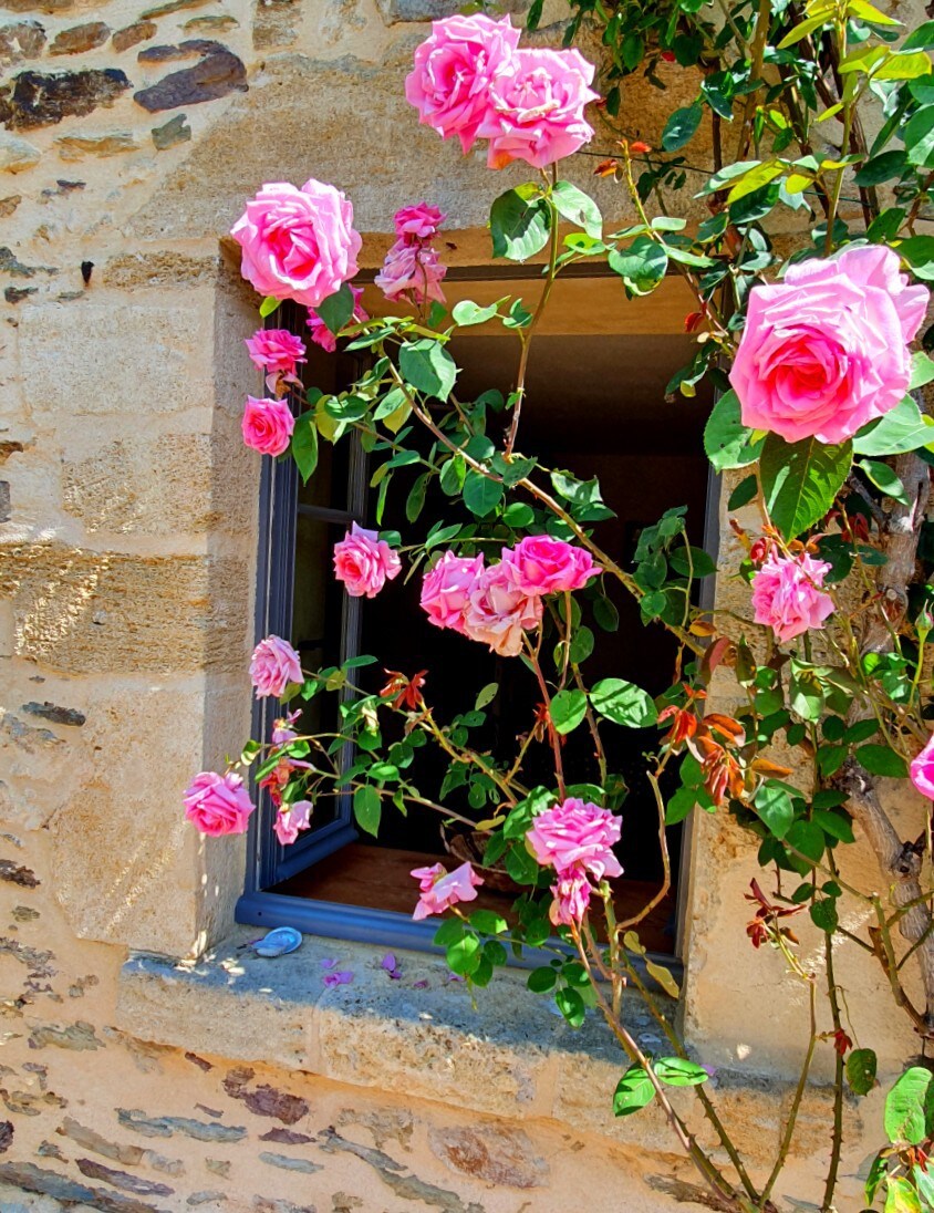 Roomy cottage & pool - vineyards, trails, Chateaux