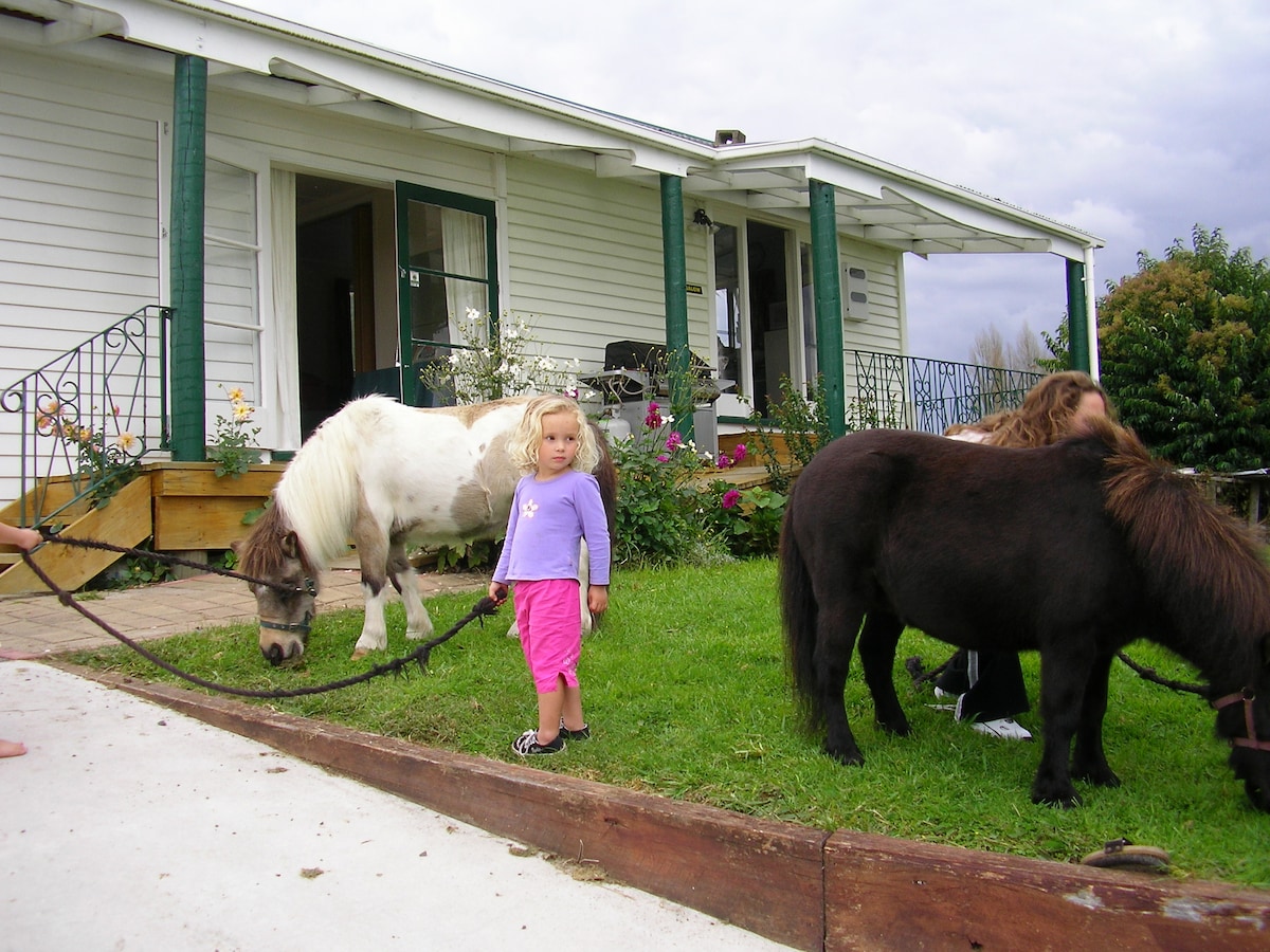 Waitomo Big Bird B&B & Petting Farm -平房