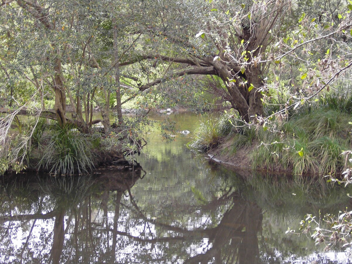Barrington River Water Gums Retreat
