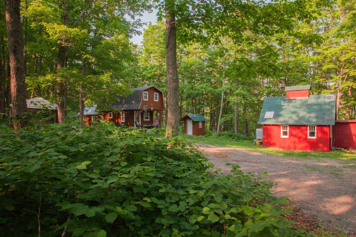 Forest Healing Cabin