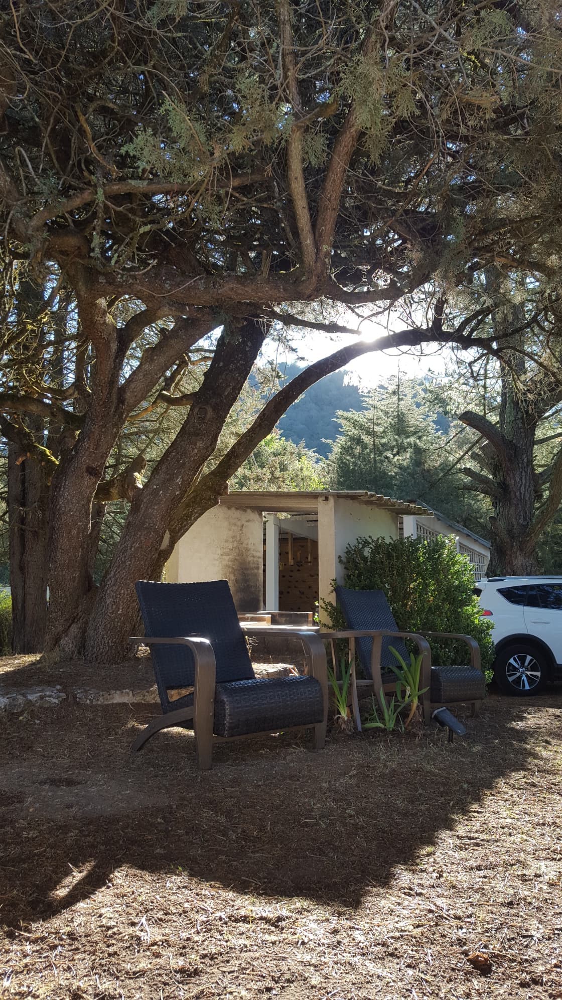 Hogar en las afueras del Parque Nacional, El Chico