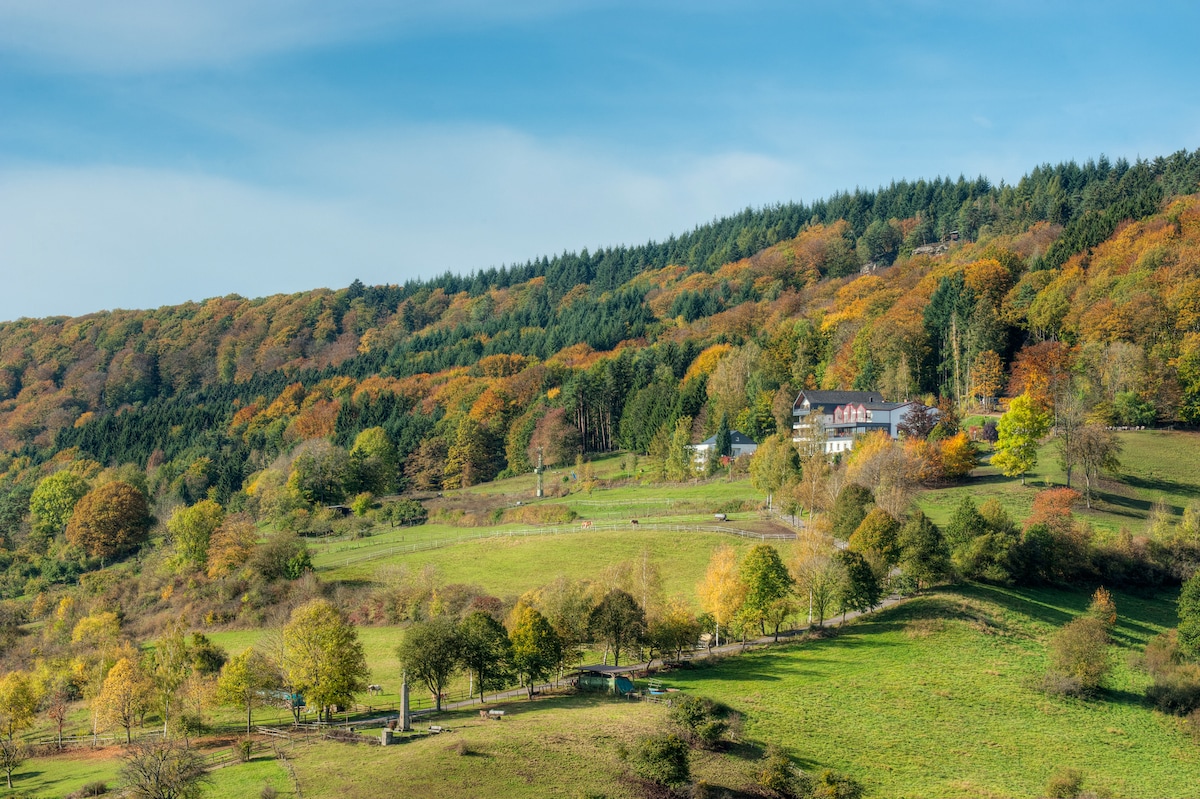 Mullerthal Trail Natur pur 1