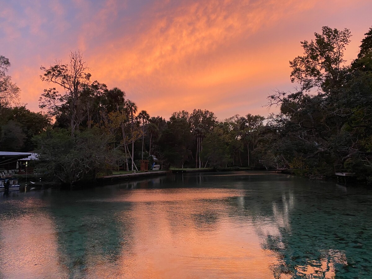 MANATEE happy私人房车网站~ Homosassa Spring