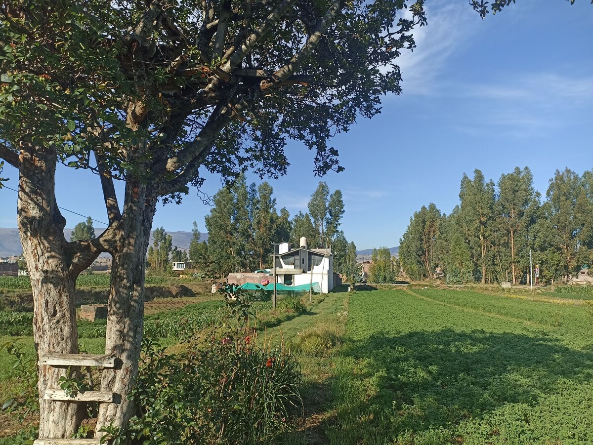 Casa Blanca Huancayo