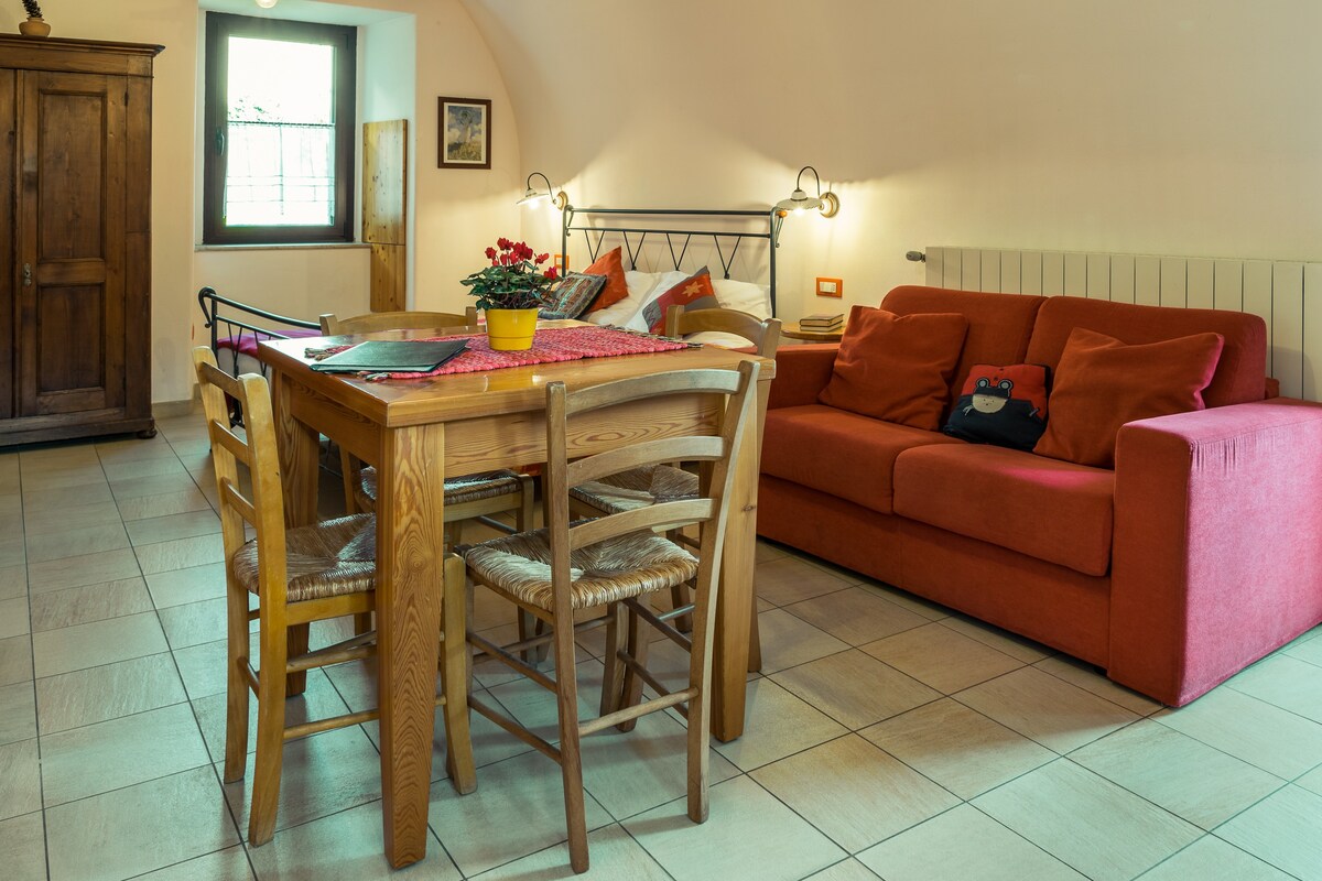 Comfortable studio apartment in Zorzino Castle