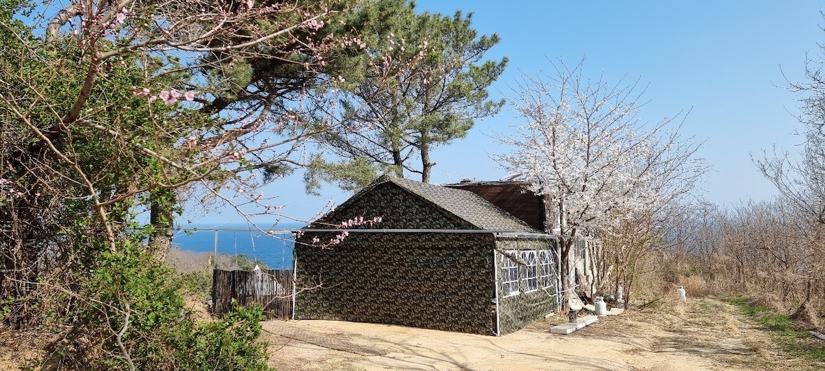 Yeongdeok Gamseongsanjang Dome House