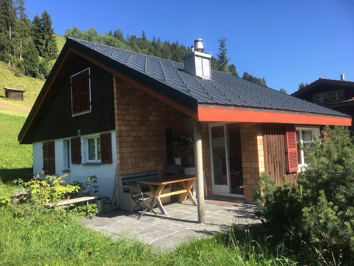 美丽的乡村小屋Adelboden ，田园诗般的地理位置
