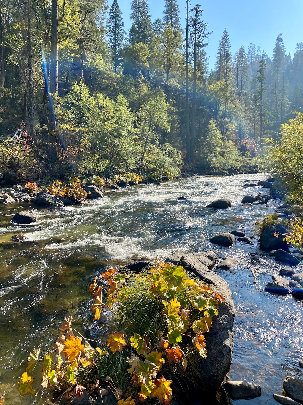 风景如画的黄金乡村度假胜地