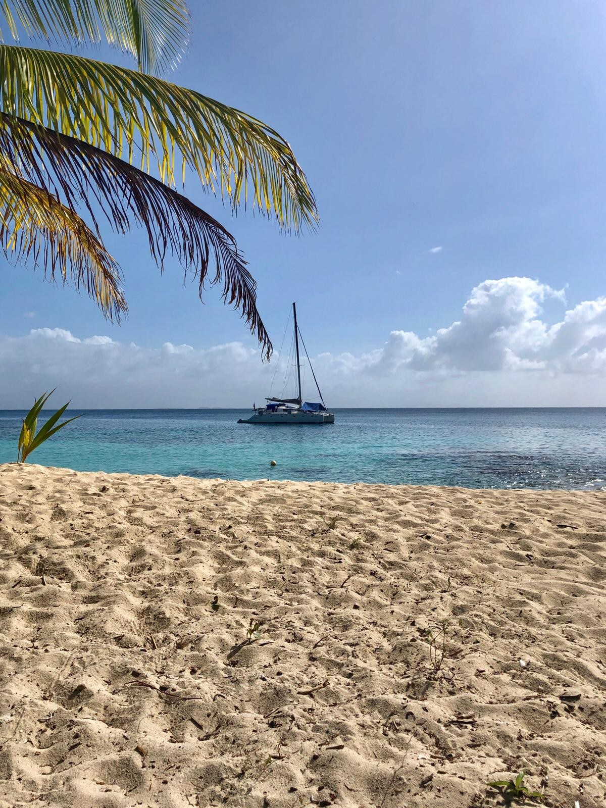 CATAMARÁN all inclusive en SAN BLAS.