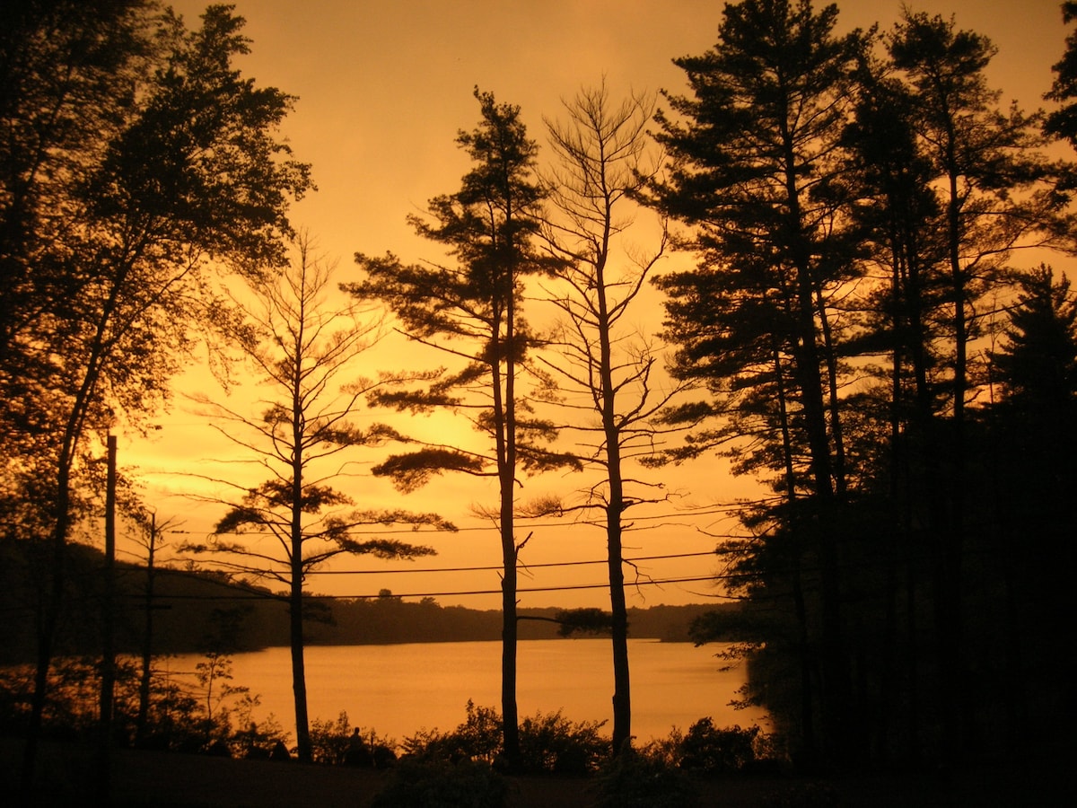 Spectacular pond view, suite on conservation land