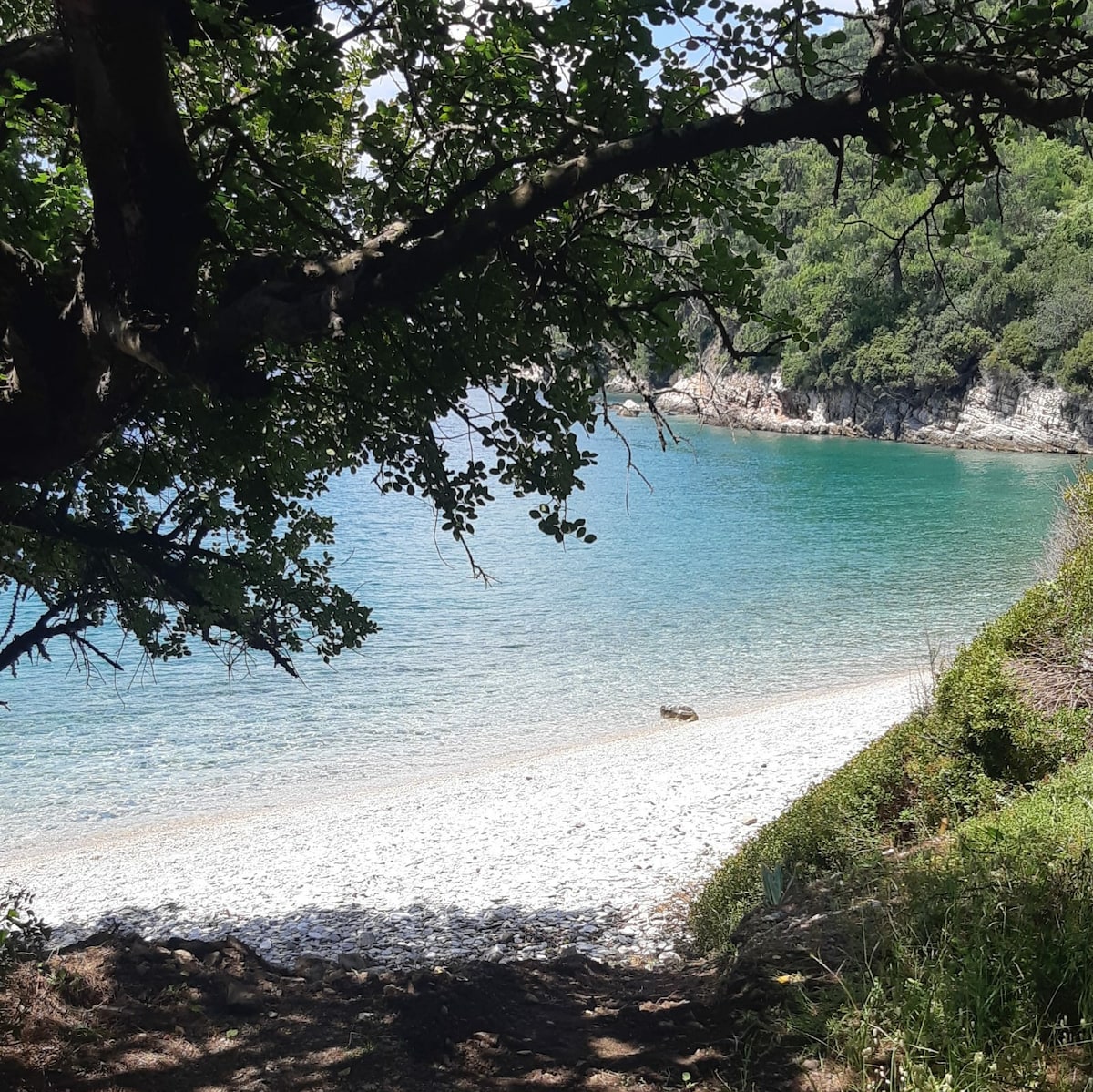 House in a small bay with a peaceful nature