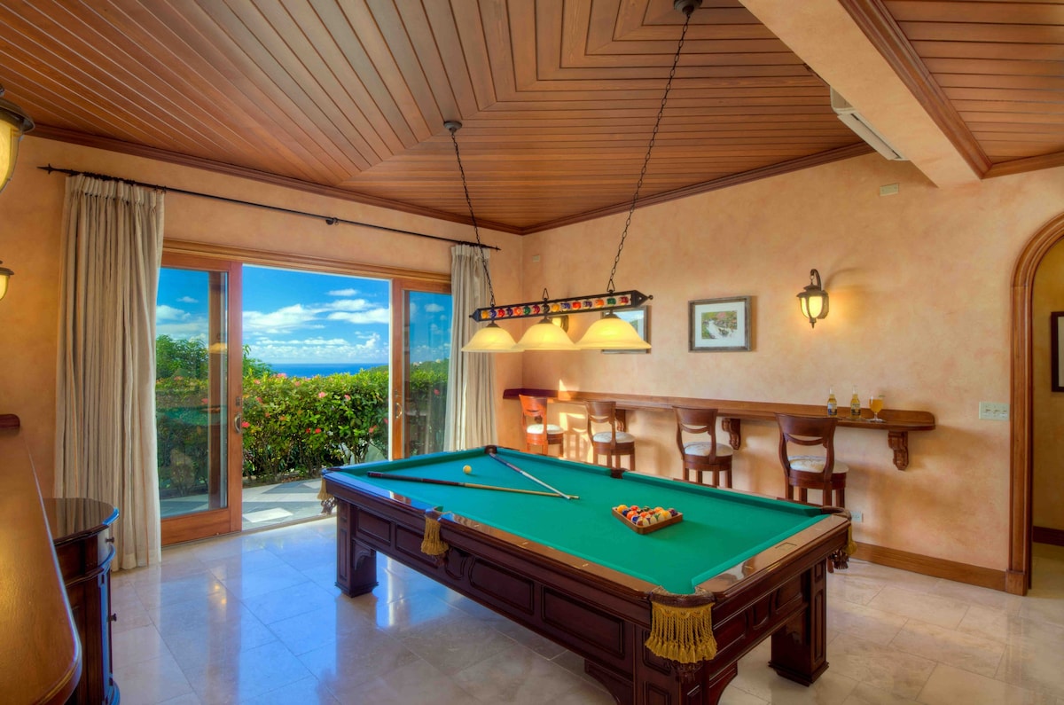 热带私人庄园：游泳池、健身房、台球桌