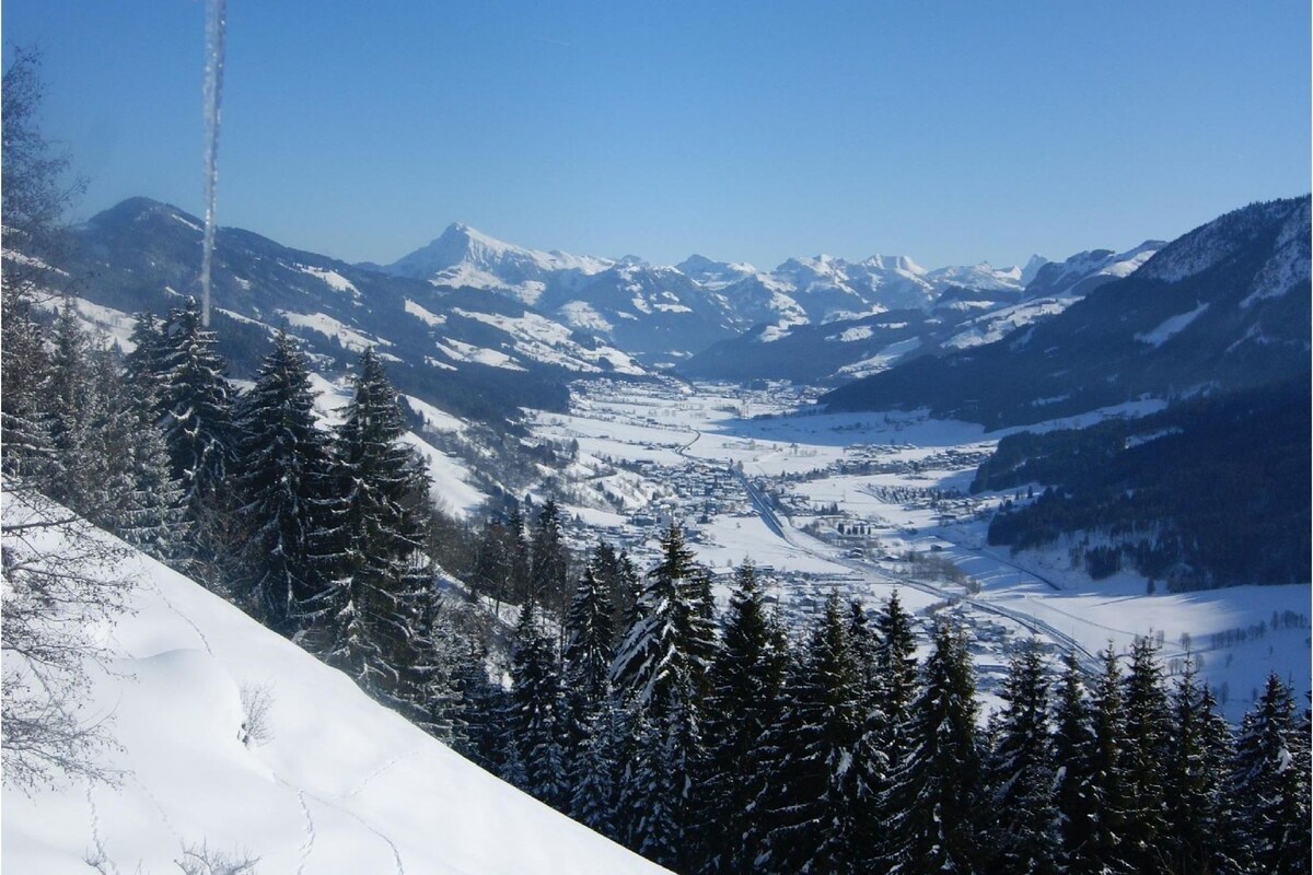 Elite Chalet near Ski Slopes in Westendorf