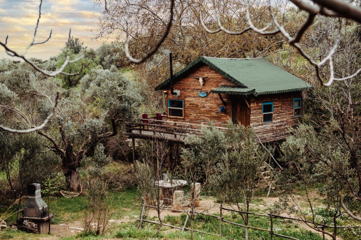 Treehouse Izmir Kemalpaşa