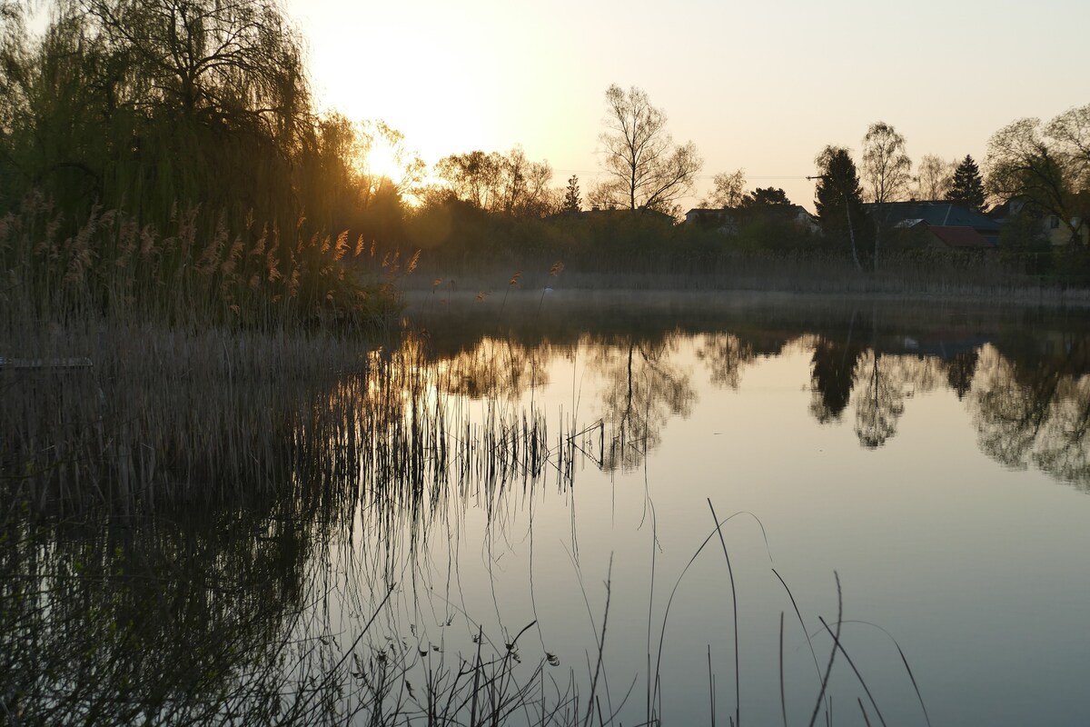 Langen See Room