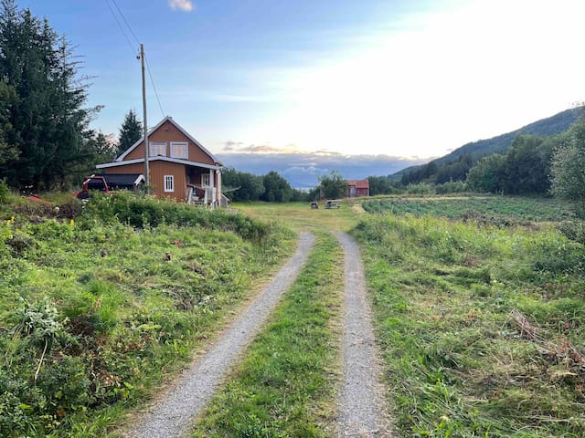Tjongsfjorden的民宿
