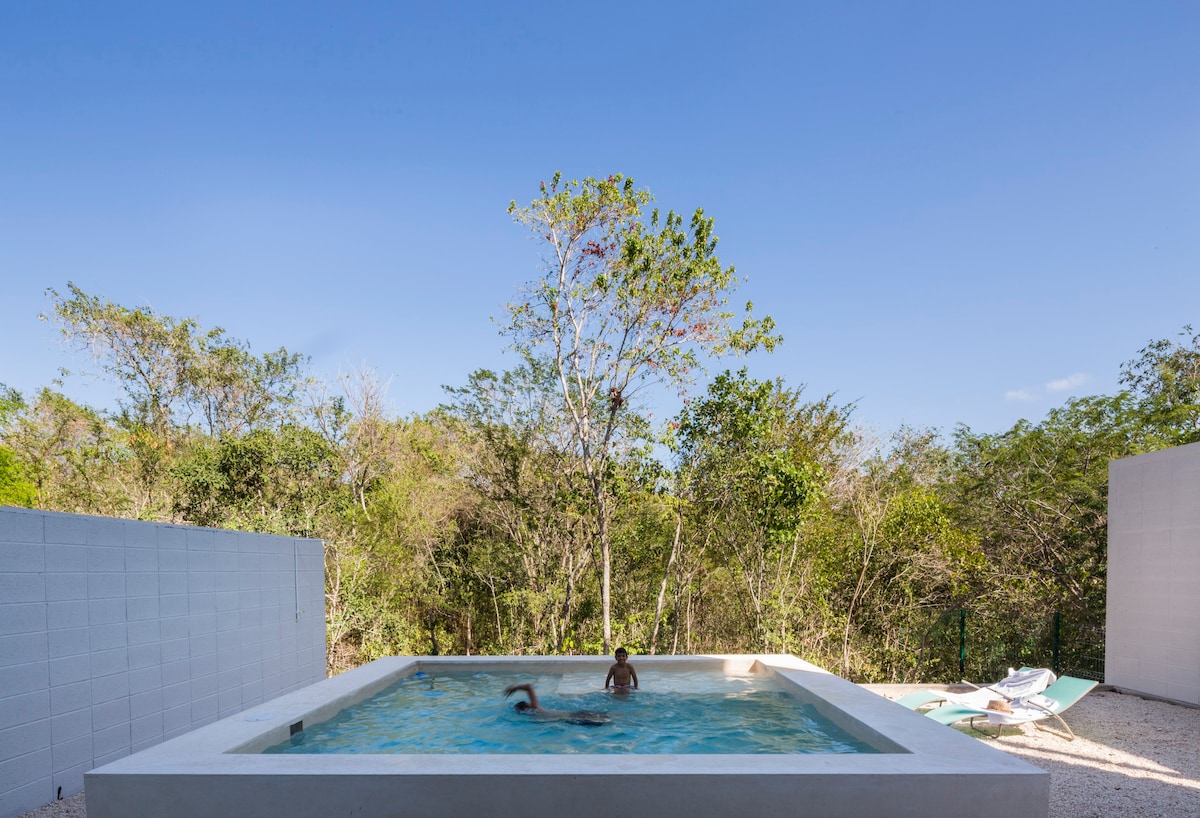 带泳池和红树林景观的现代丛林房源