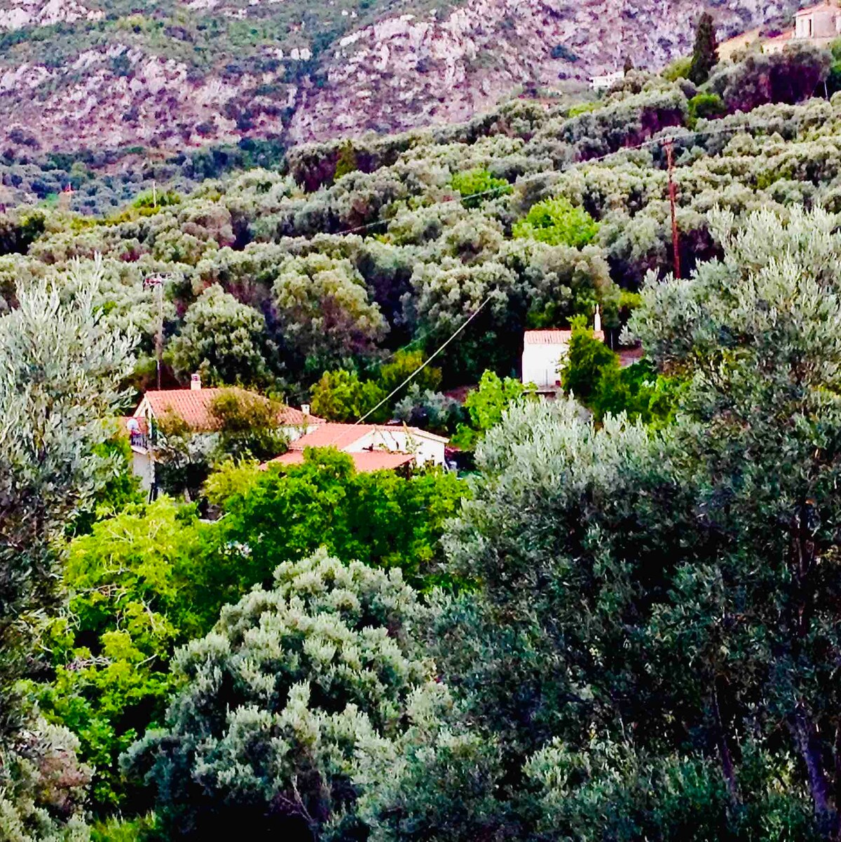 Dreamy Aegean🏝⛱⛵️🦜