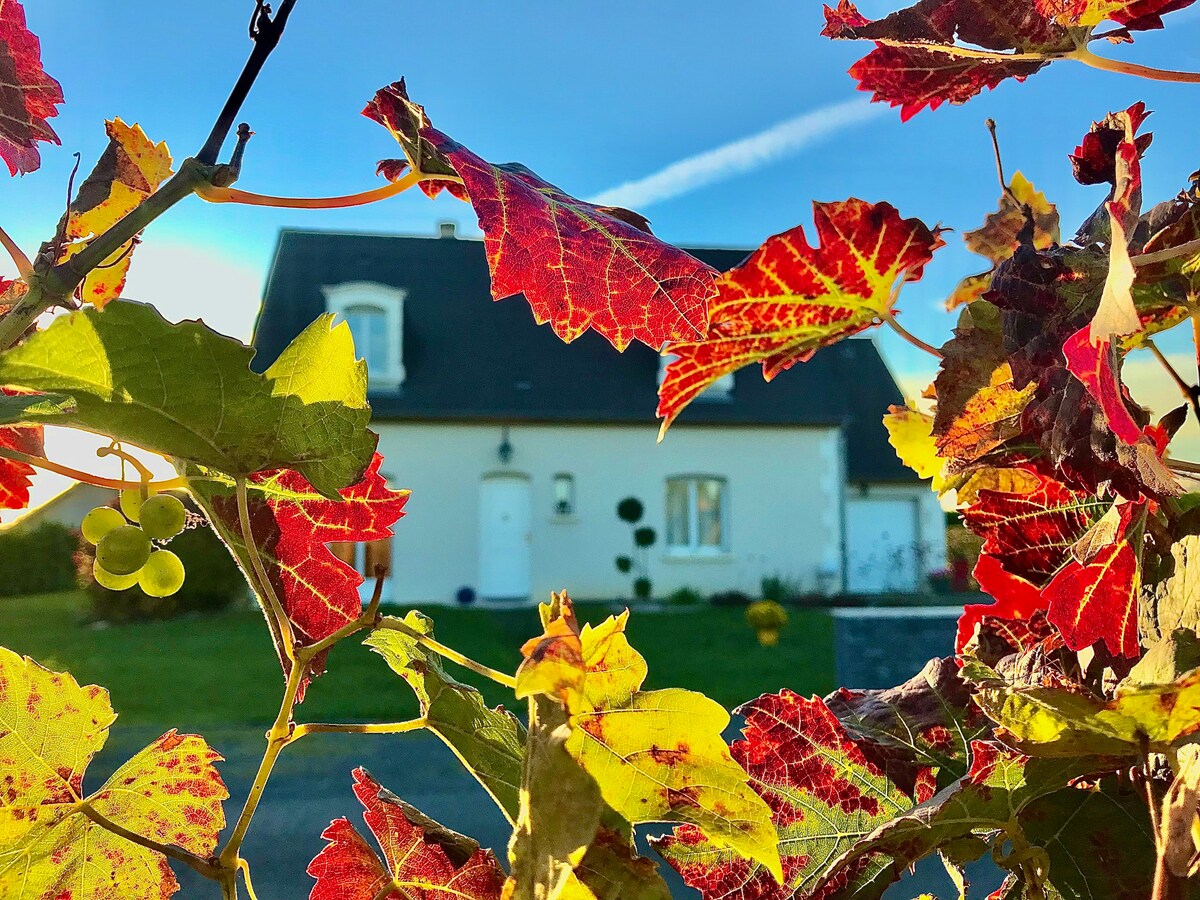 B&B Ma Petite Maison dans les Vignes