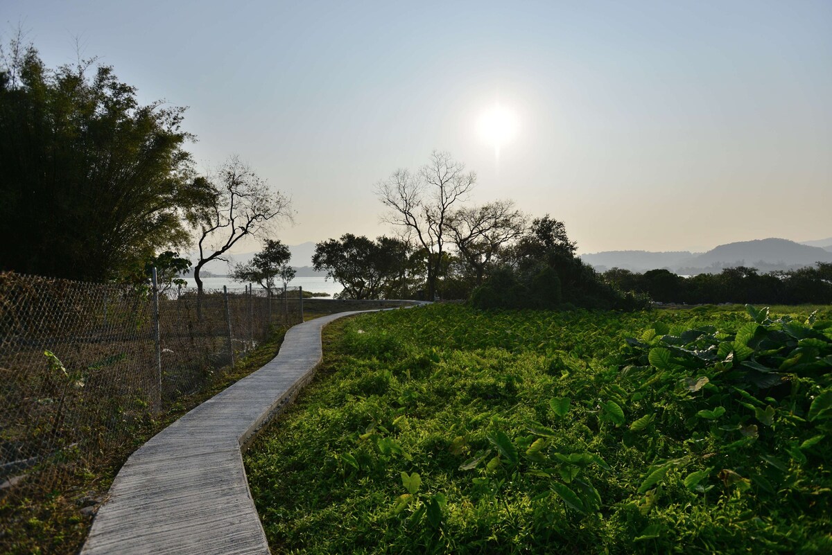 海景、山景和绿色美丽的房子