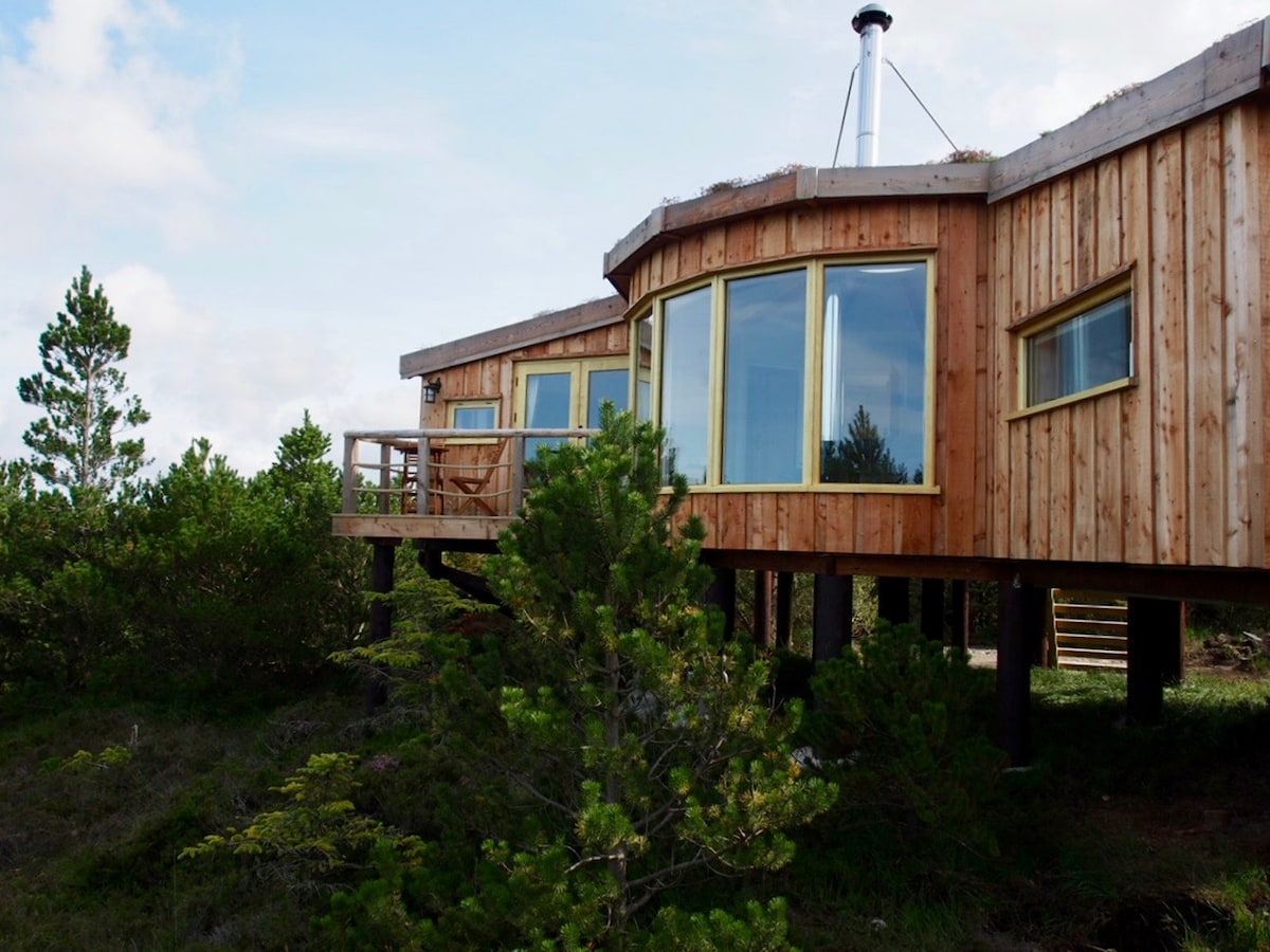 Secluded forest retreat-Uist-Outer Hebrides-Eagle