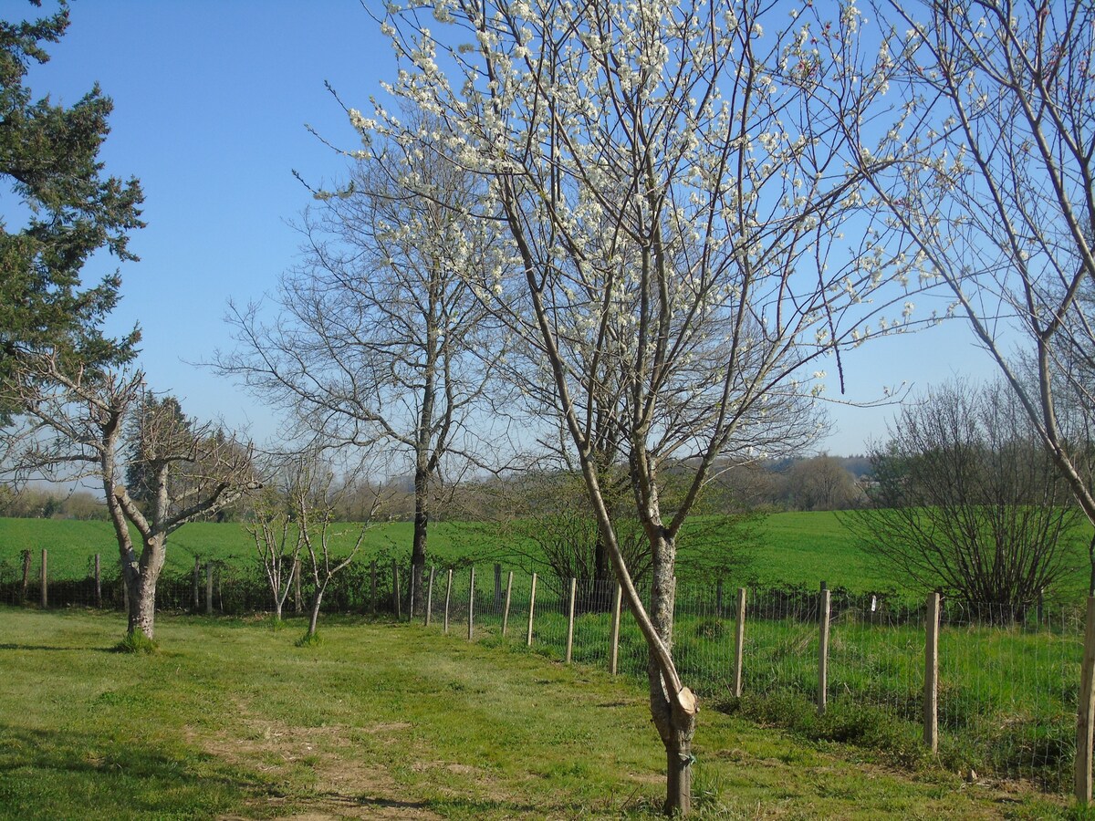 小屋坐落在安静的地区，是一个大型私人花园。