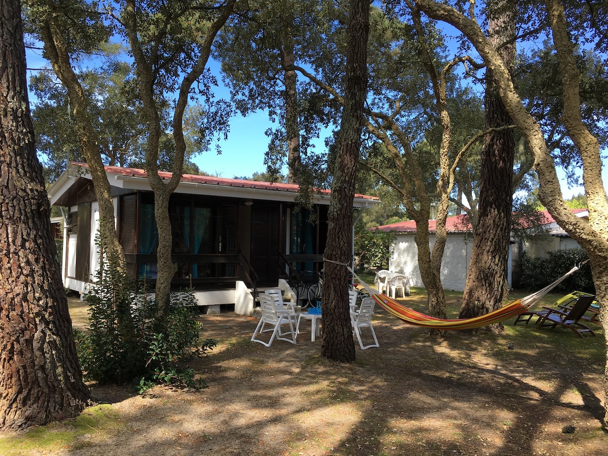 Chalet bord de mer sur grand jardin