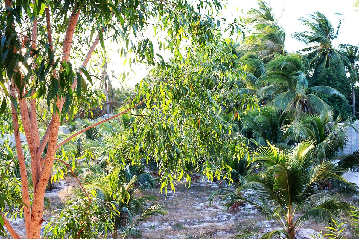 邦尼民宿（ BONNIE HOMESTAY ） -美奈中心（ Central Mui Ne ） ，靠近风筝冲浪