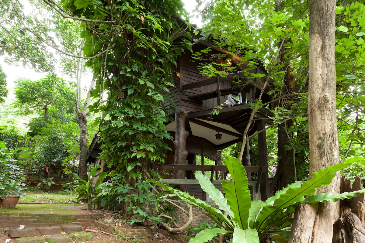 Tree House （木屋）距离市中心10分钟车程