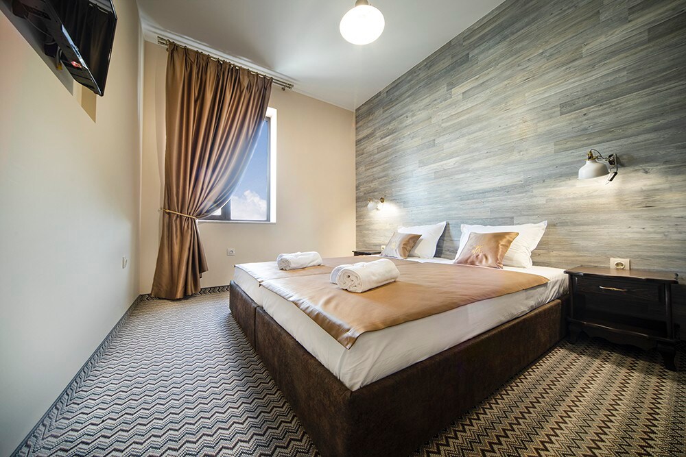 普罗夫迪夫古董酒店（ Hotel Antique Plovdiv ） -标准客房