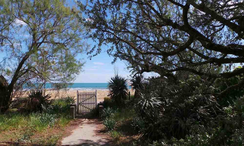 Villa Picchetti Fronte Mare