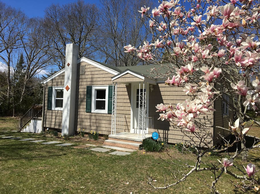 hamptons cozy cottage