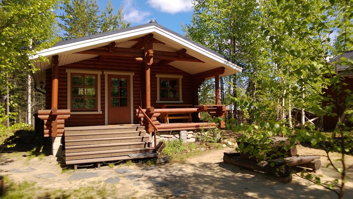 带芬兰风格的桑拿房夏季小屋