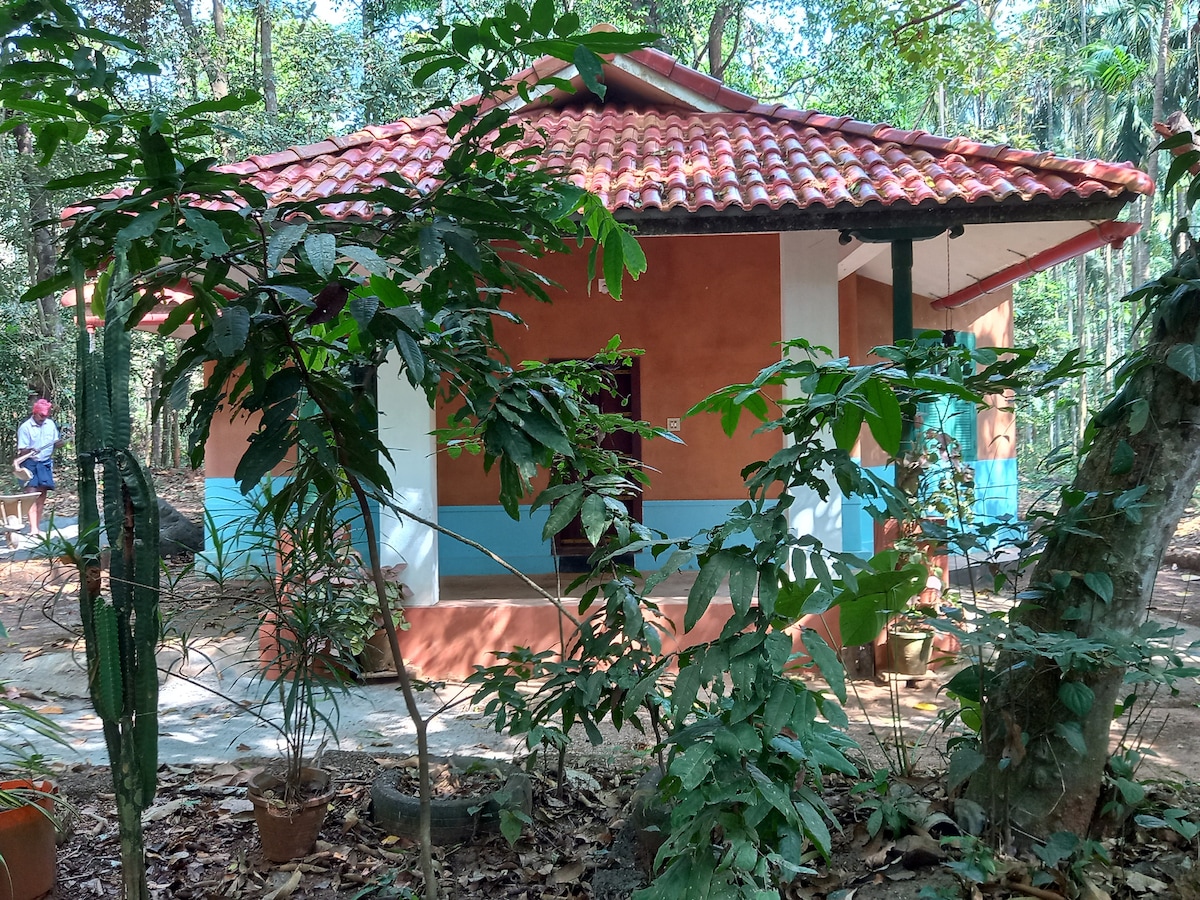 Single room Mudhouse in lush green farm house.