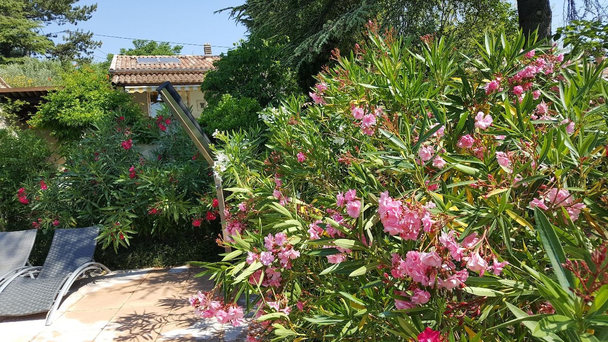 Rêve de Provence : Villa avec jardin et piscine