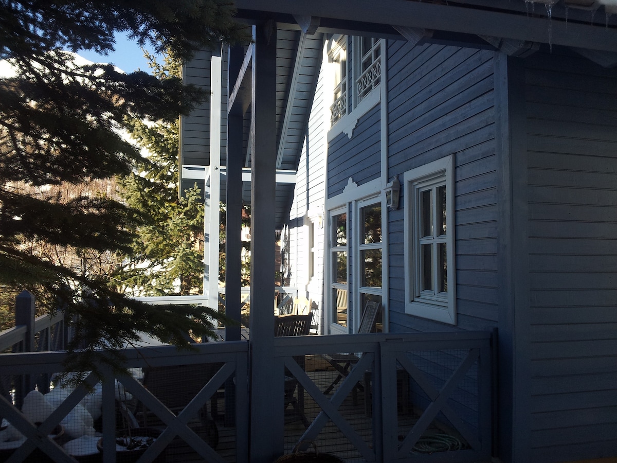位于La Foux d 'Allos的迷人挪威小木屋