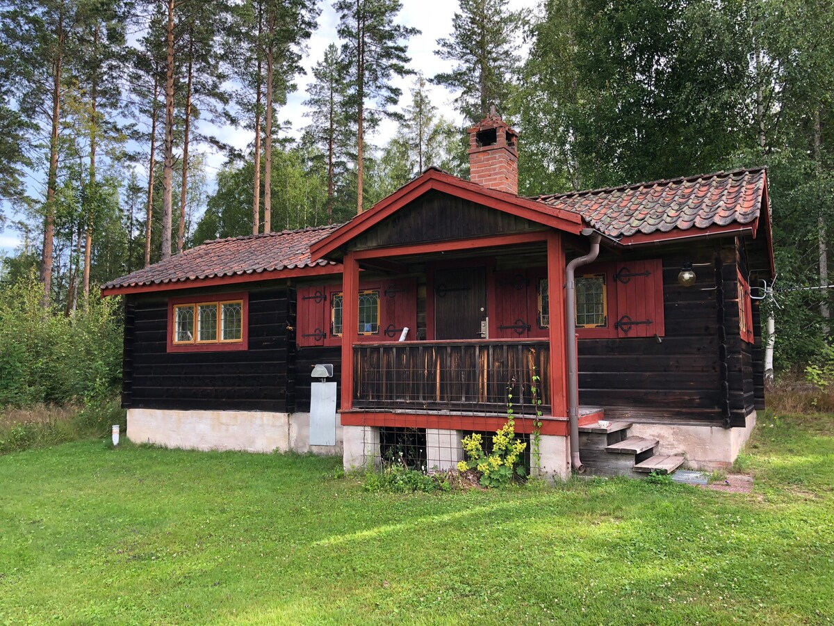 住在美丽的Leksand自己的小屋里