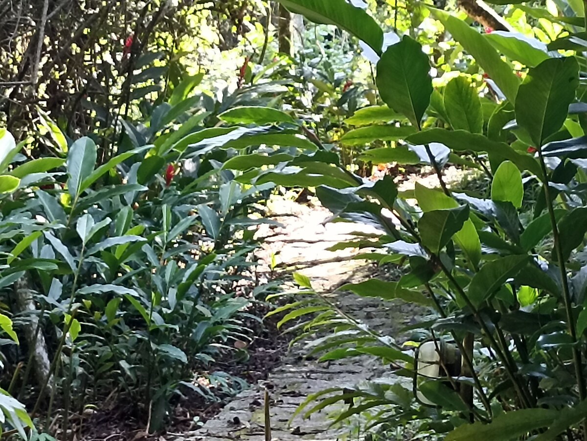 舒适的森林帐篷，可欣赏海景