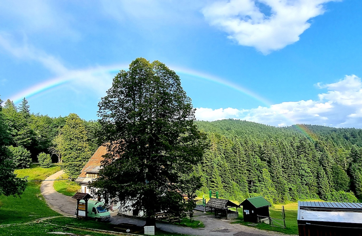 Mountain Home Travna Gora, 102, 
Slovenia